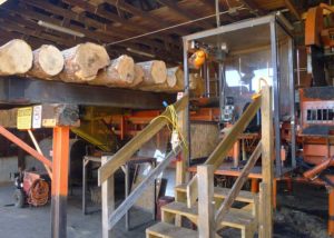 Quality clean firewood new england